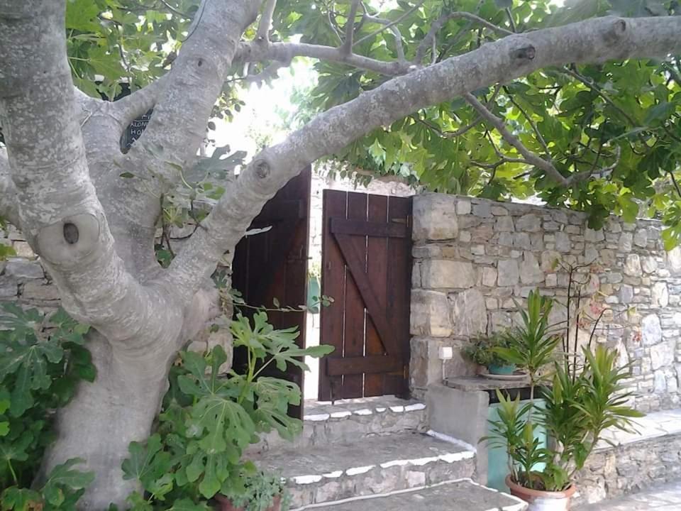 Villa Panayiota Алонисос Экстерьер фото